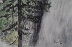 Waterfall and Trees 22   2022   Watercolour on paper   15 x 10 cm   SGD200